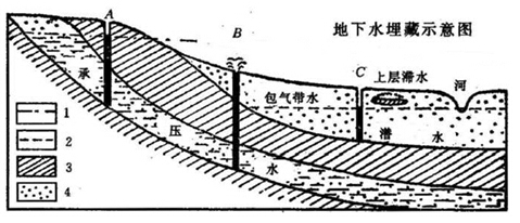 一只兩個手掌大的甲魚在冰下淺水里